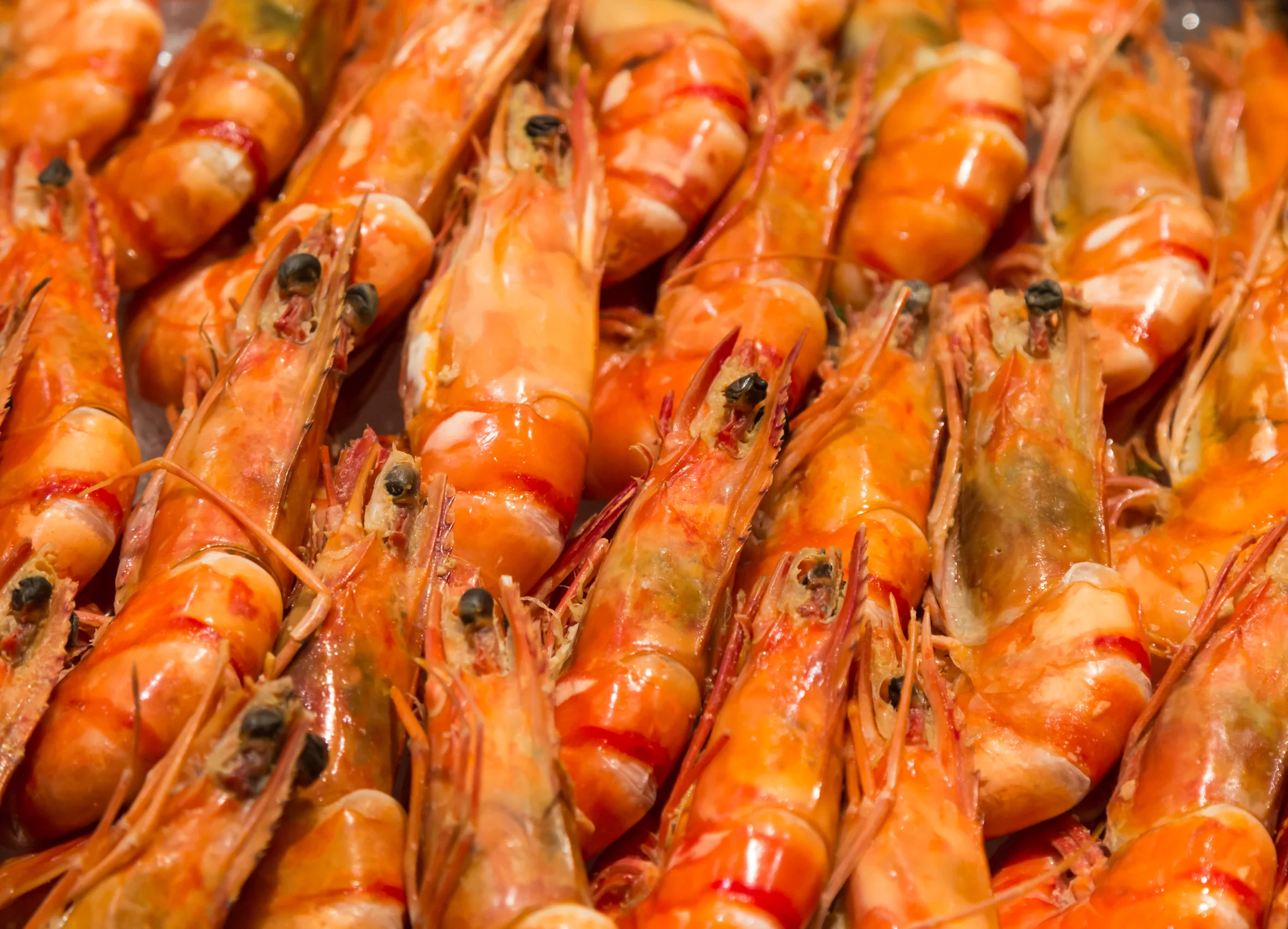 Seafood Caribbean Style - Seafood Variants - Image 2